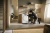 Miele TWD260WP Детальное фото товара: Miele TWD260WP