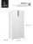 LEX LSB530WGID Детальное фото товара: LEX LSB530WGID
