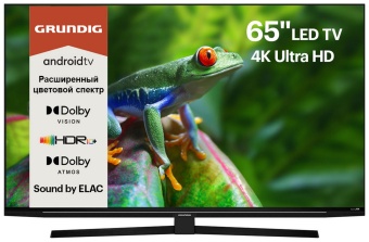 Детальное фото товара: Grundig 65 GGU 8960