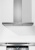 Miele PUR98W EDST Детальное фото товара: Miele PUR98W EDST