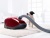 Miele SGEA3 Complete C3 Cat&Dog ежевичный красный Детальное фото товара: Miele SGEA3 Complete C3 Cat&Dog ежевичный красный