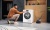 Miele TWD260WP Детальное фото товара: Miele TWD260WP