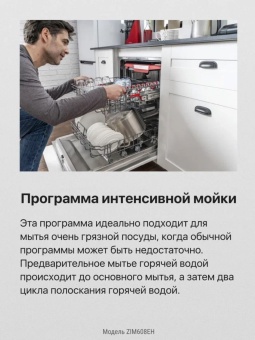Детальное фото товара: Hansa ZIM608EH