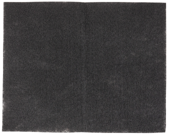 Детальное фото товара: LEX Фильтр угольный N5