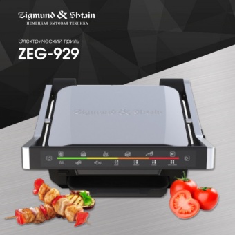 Детальное фото товара: Zigmund & Shtain Grillmeister ZEG-929