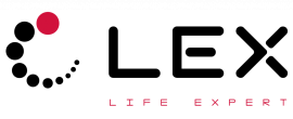 LEX Серый комплект