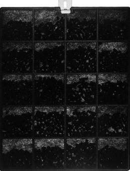 Детальное фото товара: Krona фильтр угольный тип RM (1 шт.)