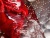 Miele WTD160WCS Детальное фото товара: Miele WTD160WCS